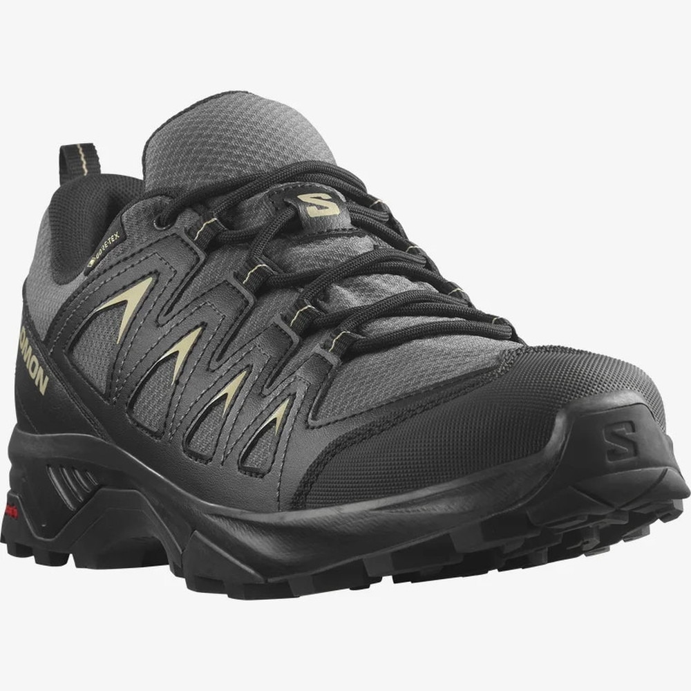 サロモン（SALOMON）（メンズ）ゴアテックス トレッキングシューズ ローカット 登山靴 防水 X BRAZE MGNT/BLA L47180500 グレー