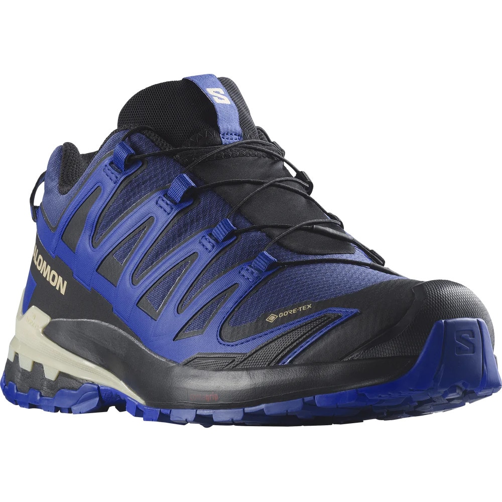 サロモン（SALOMON）（メンズ）ゴアテックス トレッキングシューズ ローカット 登山靴 XA PRO 3D V9 GORE-TEX L47270300 ブルー