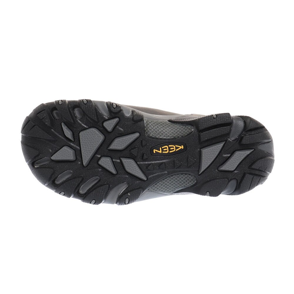 キーン（KEEN）（レディース）ターギー 2 ミッド ウォータープルーフ ハイキングシューズ 1025875