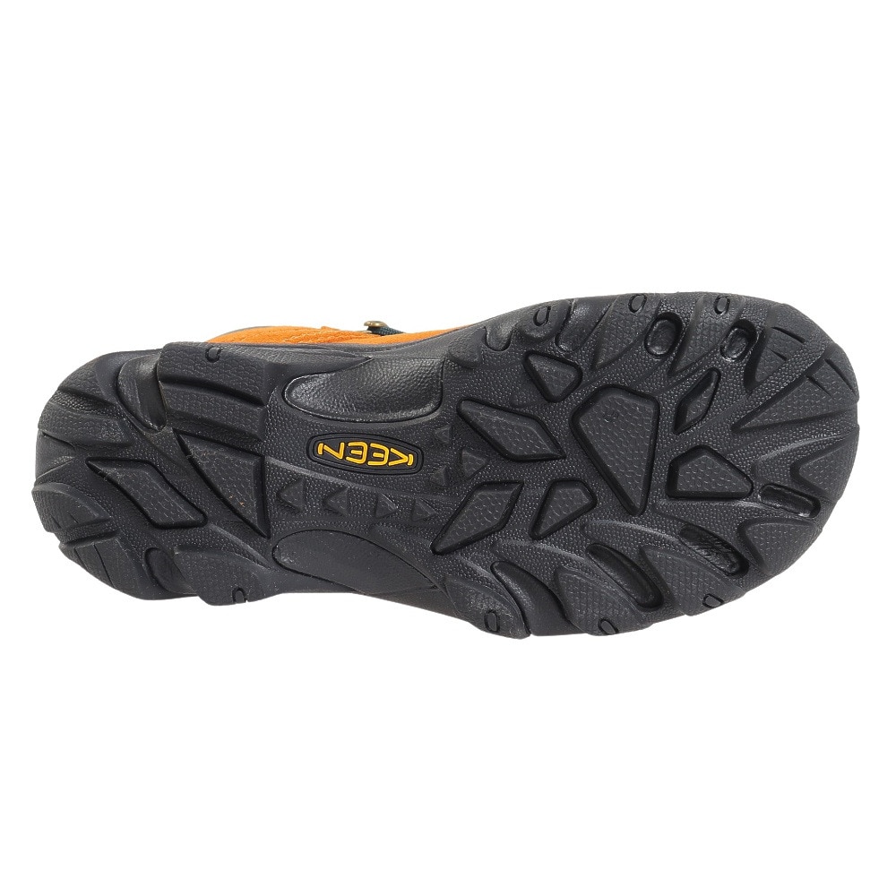 キーン（KEEN）（レディース）トレッキングシューズ ハイカット 登山靴 ピレニーズ KEEN×Leave No Trace 1028109 シューレース付