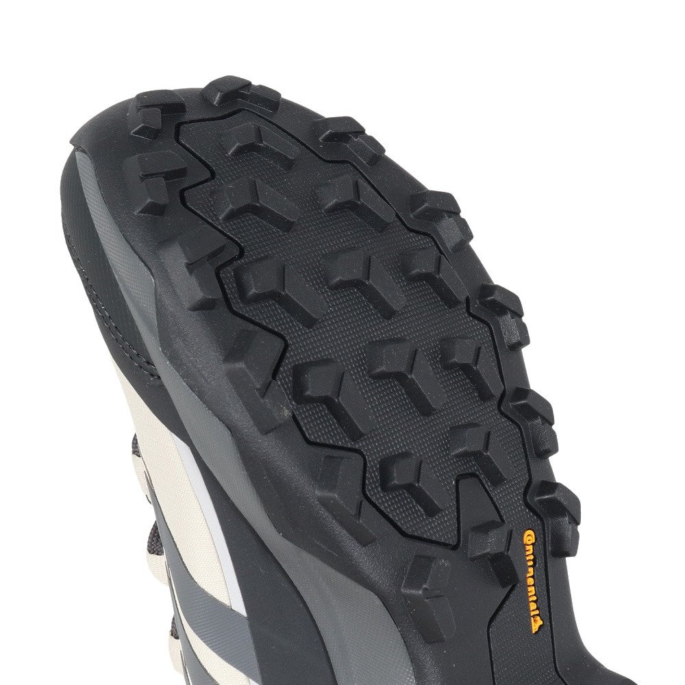 ハイキングシューズ 登山靴 山登り Terrex スカイチェイサー AX5 ゴアテックス NMQ34-JQ6725 防水透湿 9