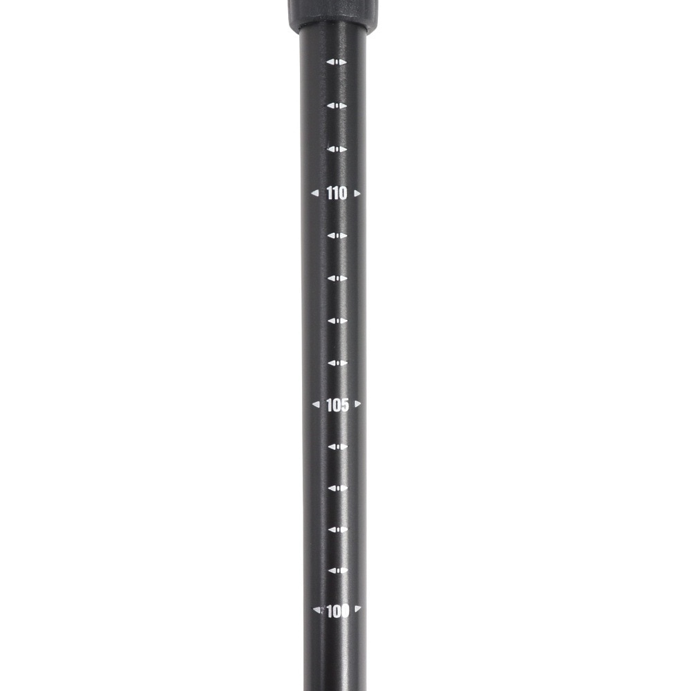 キザキ（KIZAKI）（メンズ）トレッキングポール 3段ステッキ 120 KTBC-X120I BLK ストック 登山