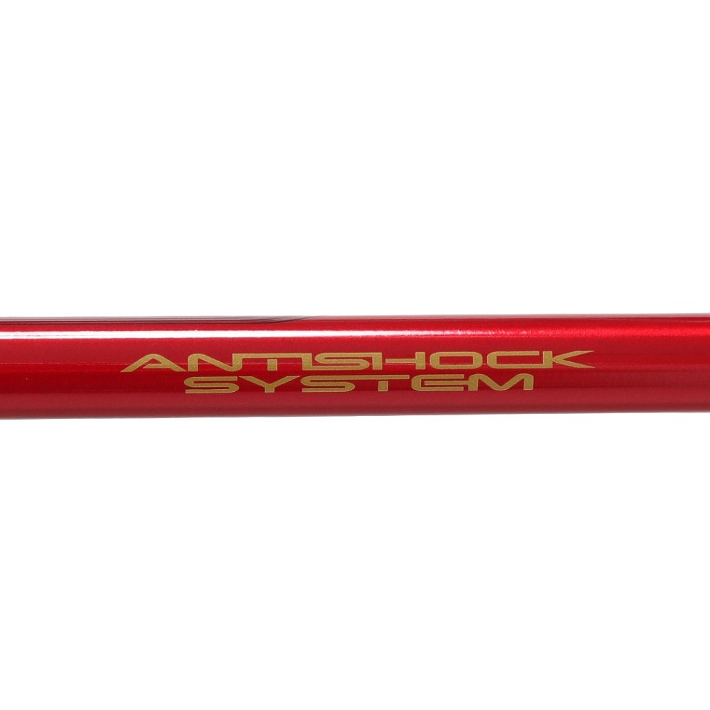 キザキ（KIZAKI）（メンズ、レディース）トレッキングポール 3段ステッキ 120 KTBC-X120I RED レッド ストック 登山