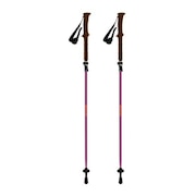 (メンズ)トレッキングポール フォールダー TWIST 115 BD ストック 登山