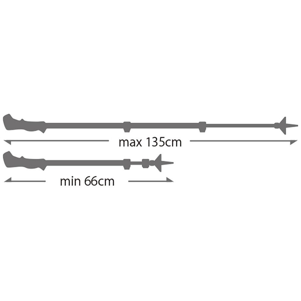 レキ（LEKI）（メンズ）登山 アルミ製 トレッキングポール 2本セット トレッキングポール ジャーニーライト 1300450100 ストック