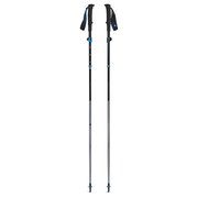 ブラックダイヤモンド（Black Diamond）（メンズ）トレッキングポール ディスタンスFLZ ピューター110 BD82289110