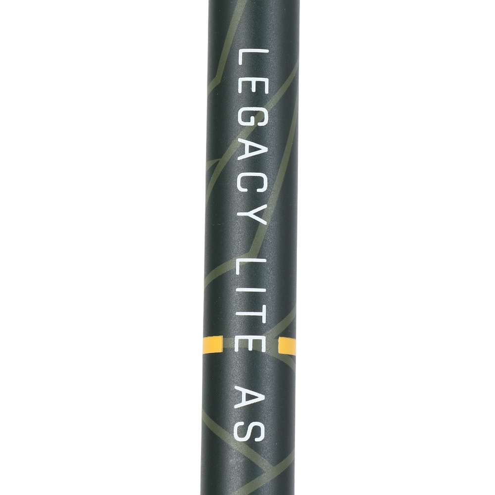 レキ（LEKI）（メンズ）トレッキングポール レガシーライト AS 1300487550 ストック 登山