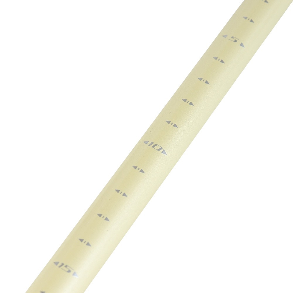 キザキ（KIZAKI）（レディース）トレッキングポール ストック ペチカペアポール 110cm 2本セット KTAI-110PI WIN 登山