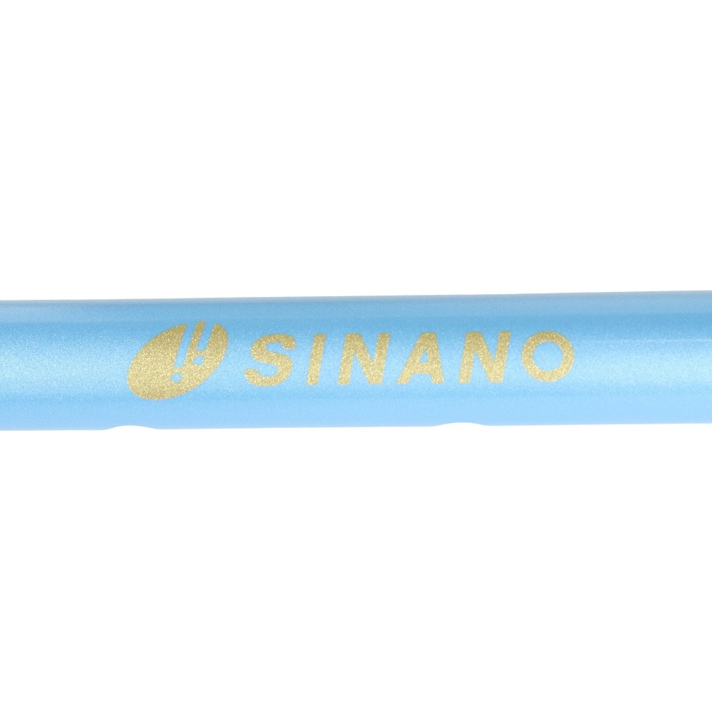 シナノ（SINANO）（メンズ、レディース）あんしん2本杖 BLE ブルー ウォーキングポール ステッキ アウトドア 杖 つえ