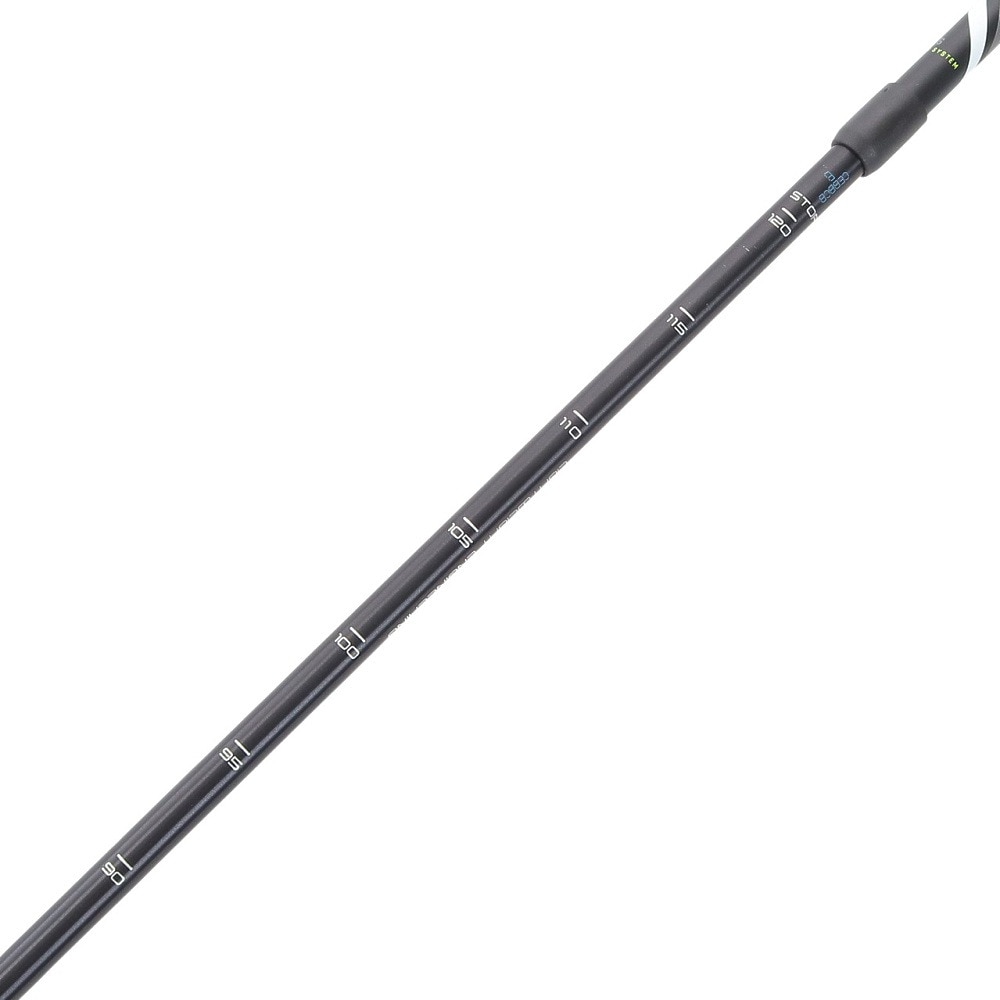 レキ（LEKI）（メンズ、レディース）ウォーキングポール ウォーキングポール スピン ショート 1300438100 ストック