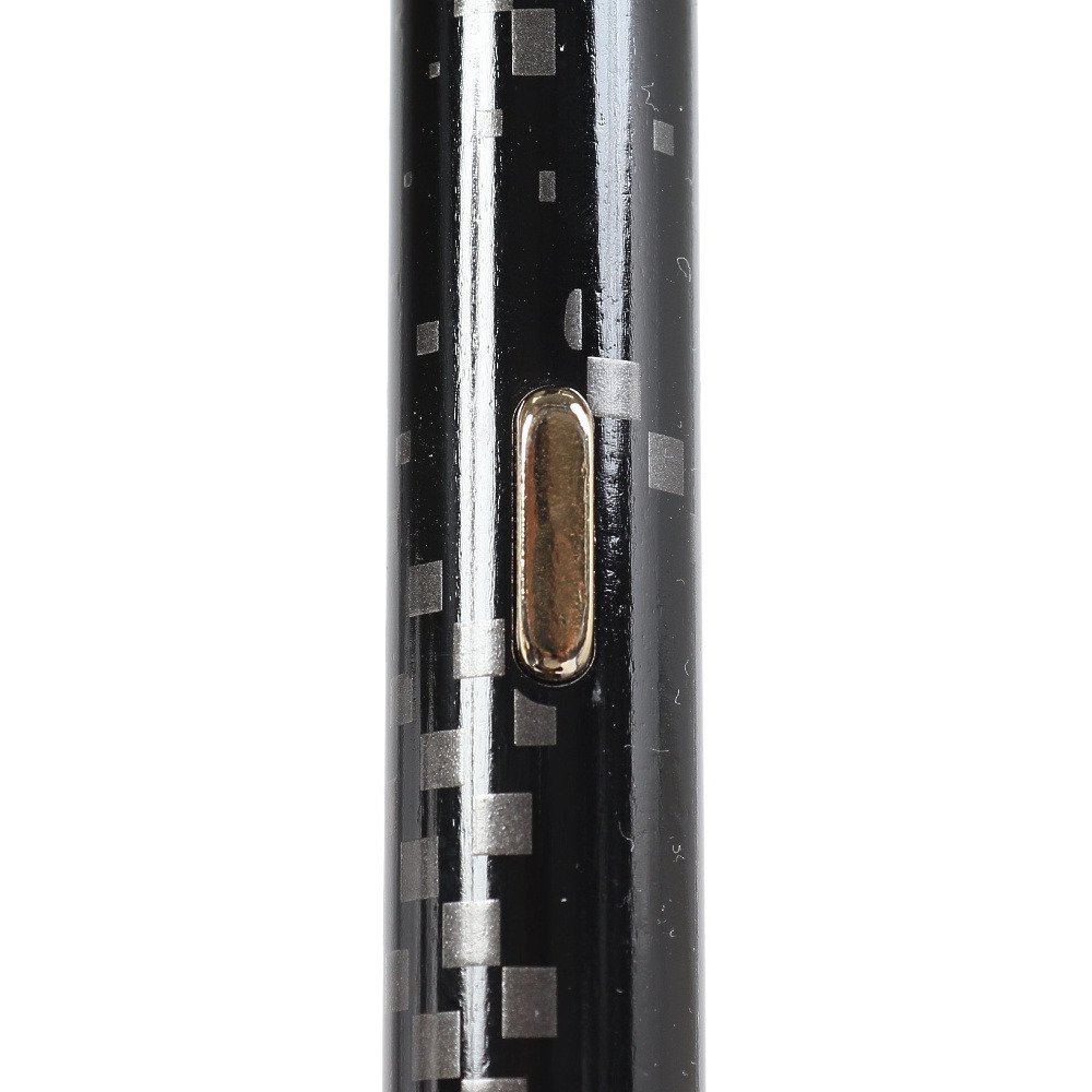 キザキ（KIZAKI）（メンズ、レディース）ウォーキングポール ラチェット固定式 KPBE-205A BLK