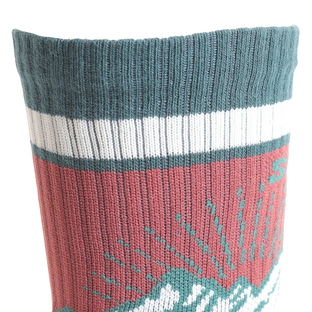 サロモン（SALOMON）（メンズ）ソックス 靴下 OUT ALPS クルーソックス 2足組 LC2083600 グリーン×ブラック