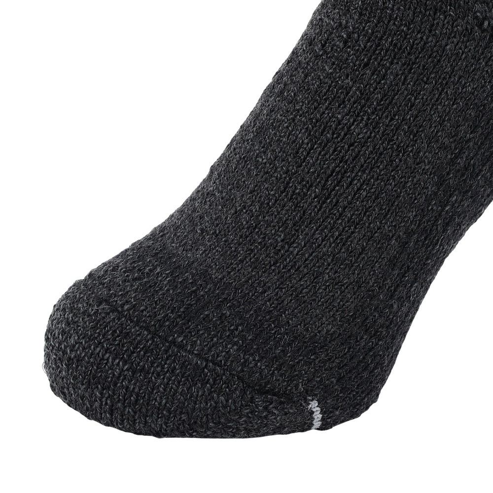 ミズノ（MIZUNO）（メンズ）トレッキング 靴下 BTWOOL 極厚ソックス B2JX-950408