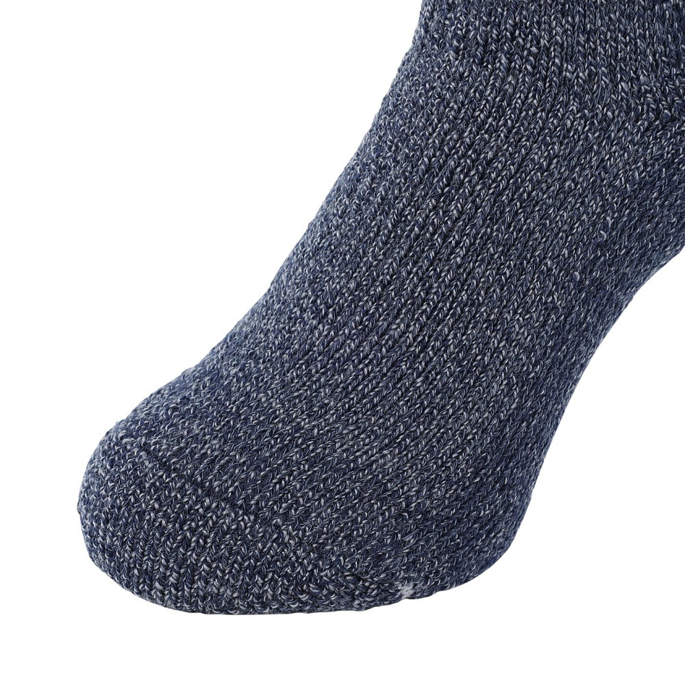 ミズノ（MIZUNO）（メンズ）トレッキング 靴下 BTWOOL 極厚ソックス B2JX-950414