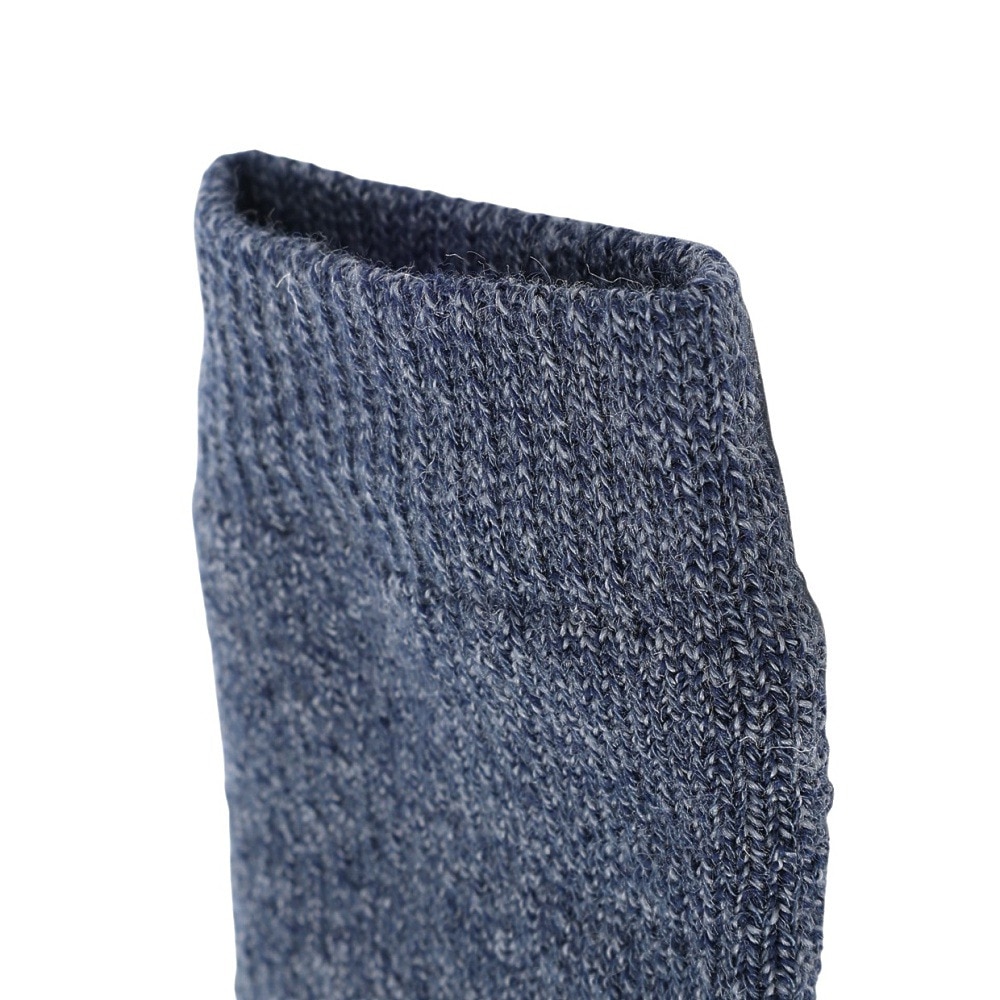 ミズノ（MIZUNO）（メンズ）トレッキング 靴下 BTWOOL 極厚ソックス B2JX-950414