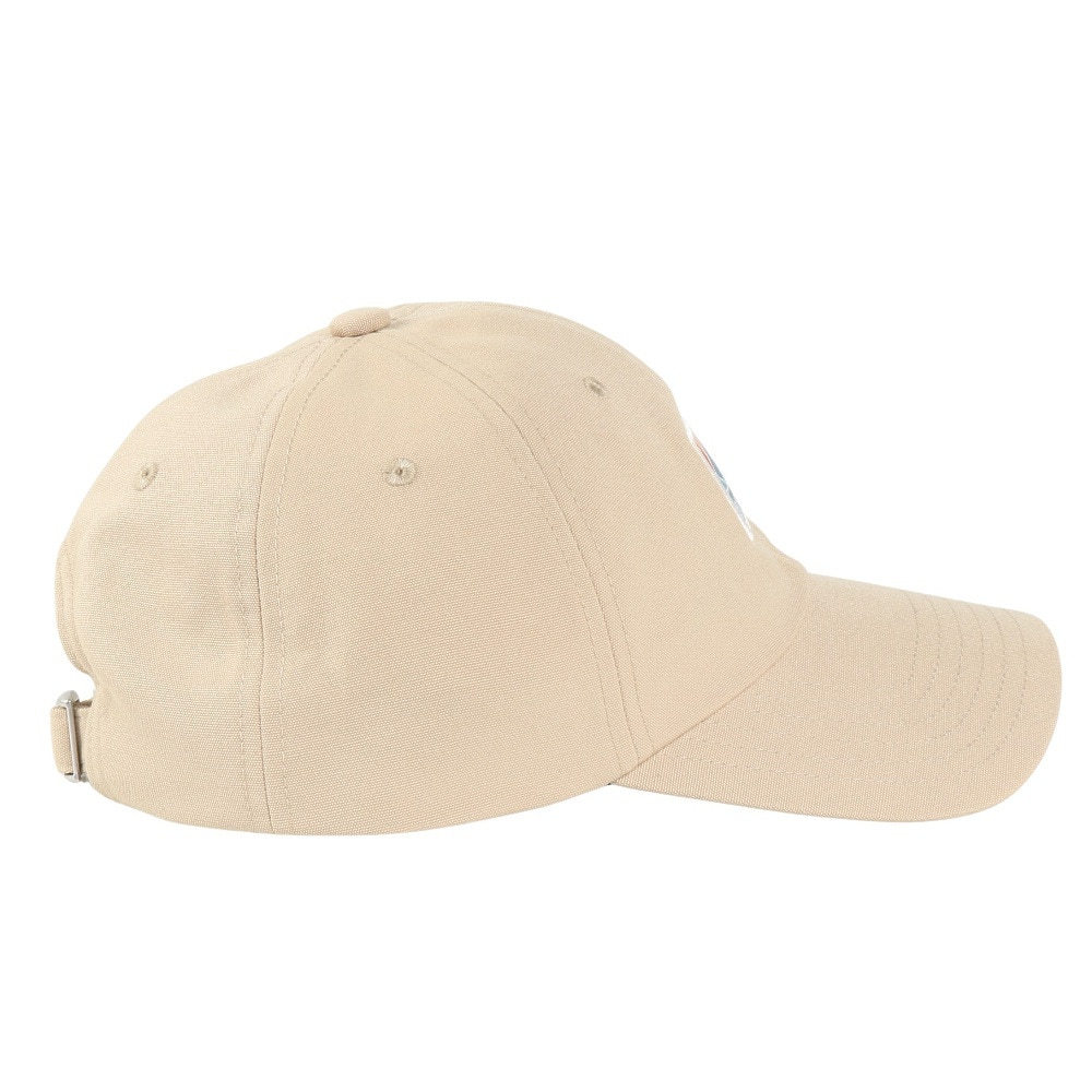 コロンビア（Columbia）（メンズ）帽子 キャップ トレッキング 登山 アモヌーサックフォールズキャップ PU5817 221