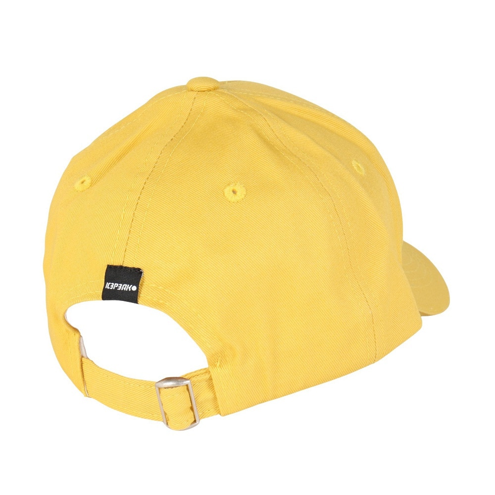アイスピーク（ICEPEAK）（メンズ、レディース）帽子 キャップ トレッキング 登山 HILLS キャップ 58811 470 437
