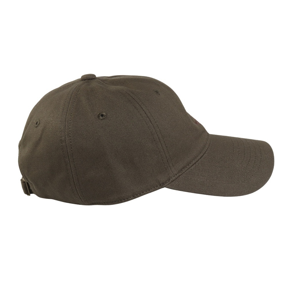 ザ・ノース・フェイス（THE NORTH FACE）（メンズ、レディース）帽子 キャップ トレッキング 登山 TNFシンプリークラシックキャップ NN02534 NT