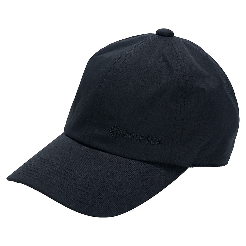 ミズノ（MIZUNO）（メンズ、レディース）帽子 防水 トレッキング 登山 ゴアテックス キャップ B2JWB00309