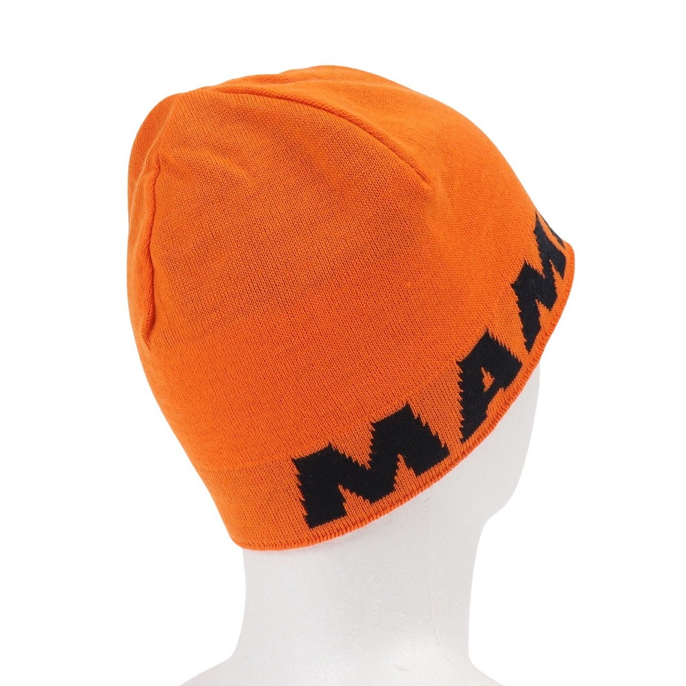 マムート（MAMMUT）（メンズ、レディース）ニット帽 トレッキング 登山 ロゴ ビーニー 1191-04891-2221