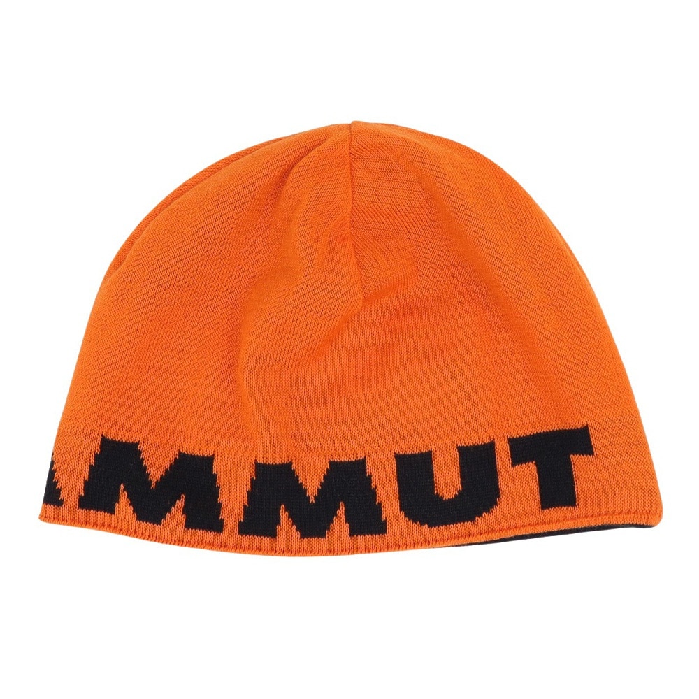 マムート（MAMMUT）（メンズ、レディース）ニット帽 トレッキング 登山 ロゴ ビーニー 1191-04891-2221