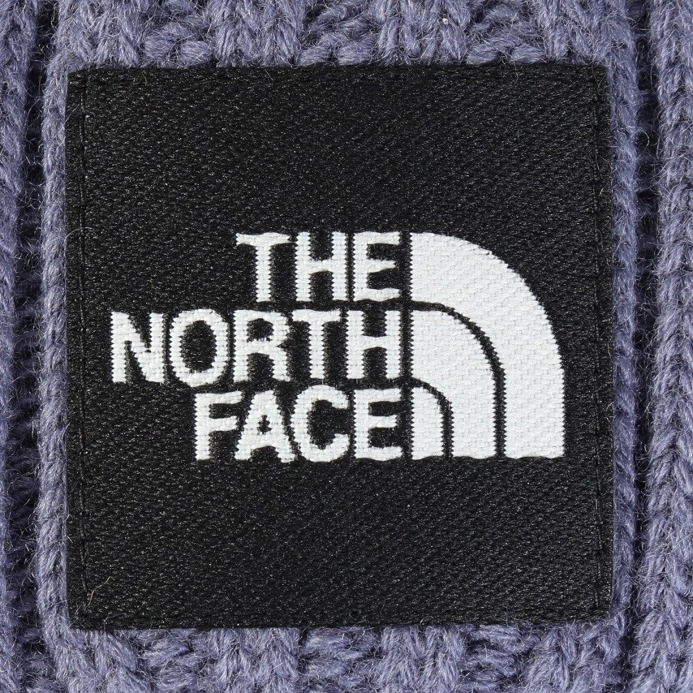 ザ・ノース・フェイス（THE NORTH FACE）（メンズ、レディース）ニット帽 トレッキング 登山 カプッチョリッド NN42544 LG