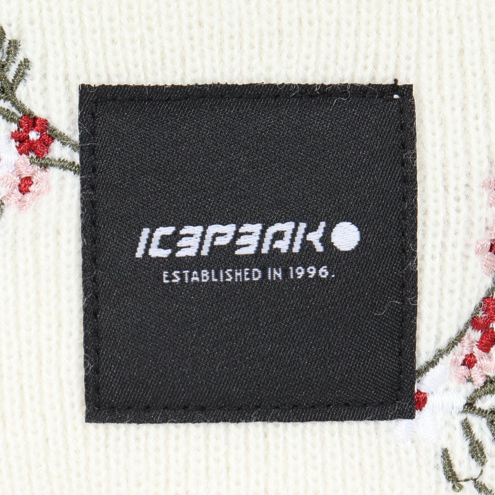アイスピーク（icepeak）（メンズ、レディース）ニット帽 トレッキング 登山 HARCOURT 58808 850 025