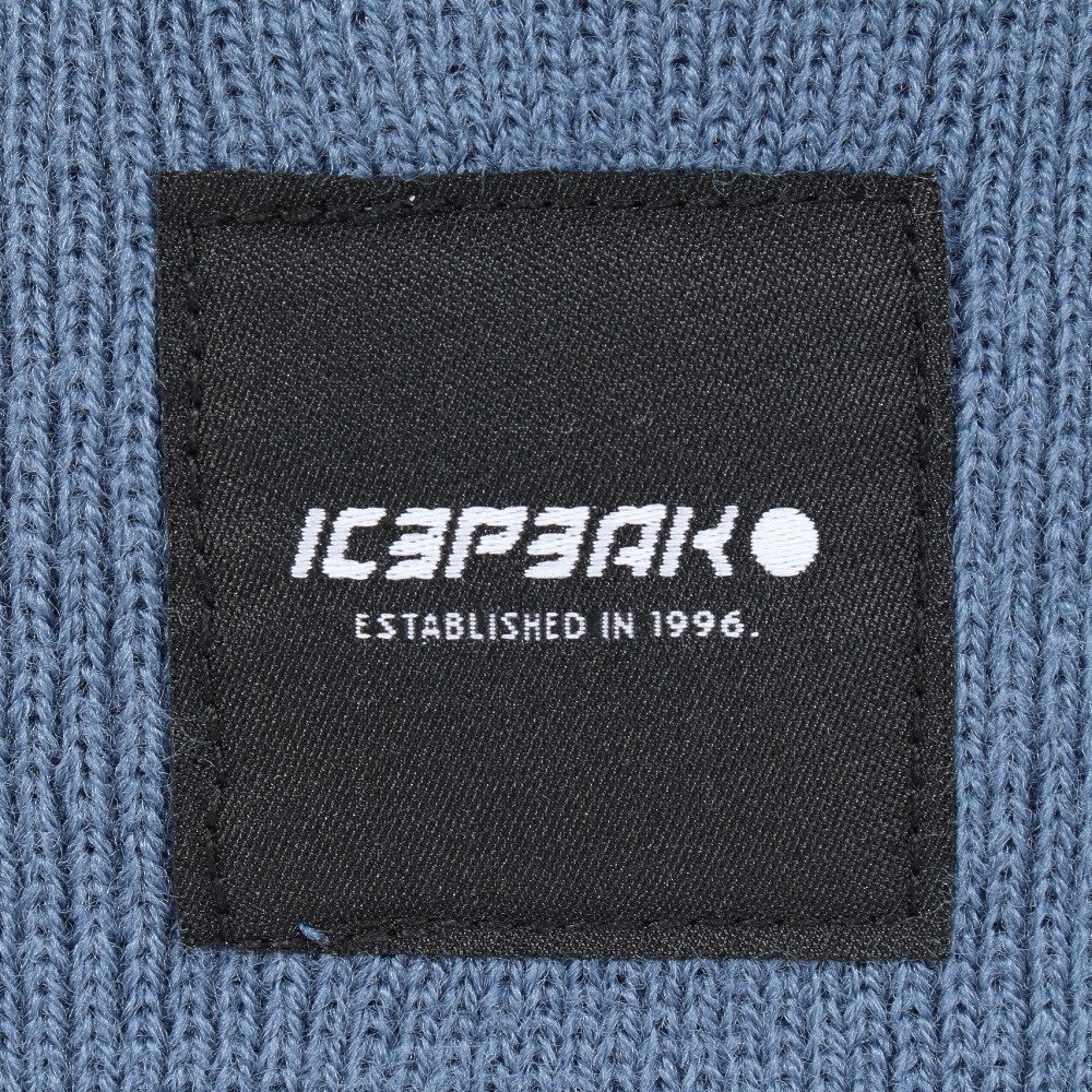 アイスピーク（icepeak）（メンズ、レディース）ニット帽 トレッキング 登山 HARCOURT 58808 850 348