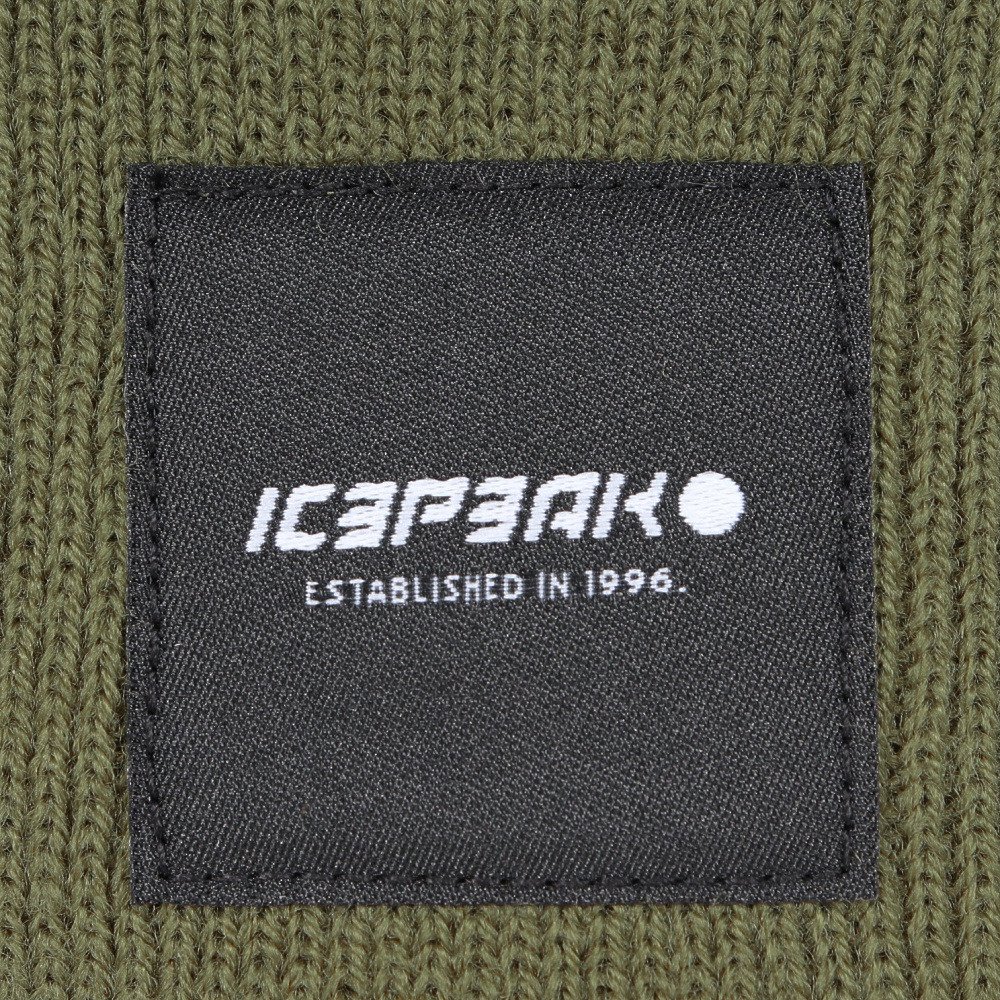 アイスピーク（icepeak）（メンズ、レディース）ニット帽 トレッキング 登山 HARCOURT 58808 850 571