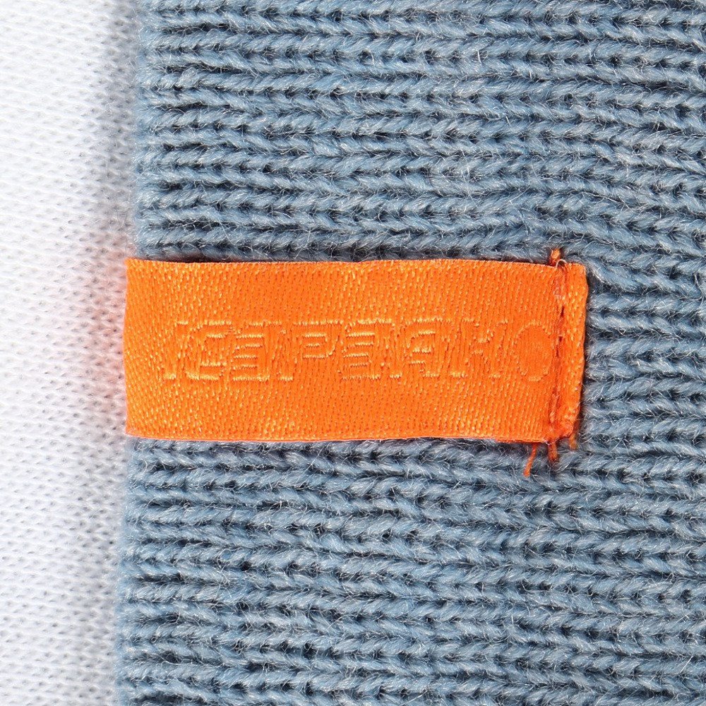アイスピーク（icepeak）（メンズ）ニット帽 トレッキング 登山 HARRINGTON 58824 300 318
