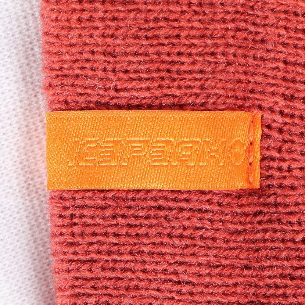 アイスピーク（icepeak）（メンズ）ニット帽 トレッキング 登山 HARRINGTON 58824 300 628