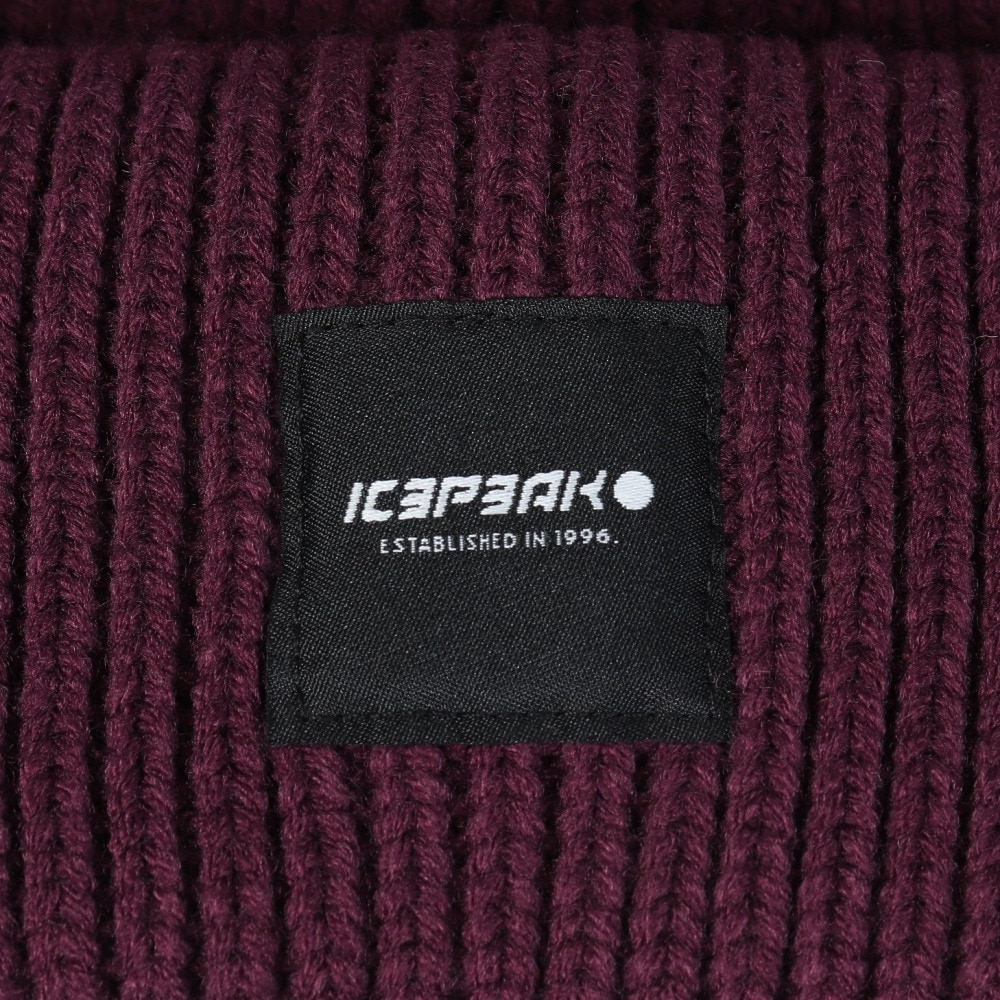 アイスピーク（ICEPEAK）（レディース）ニット帽 トレッキング 登山 HANAMAULU 55814 808 770