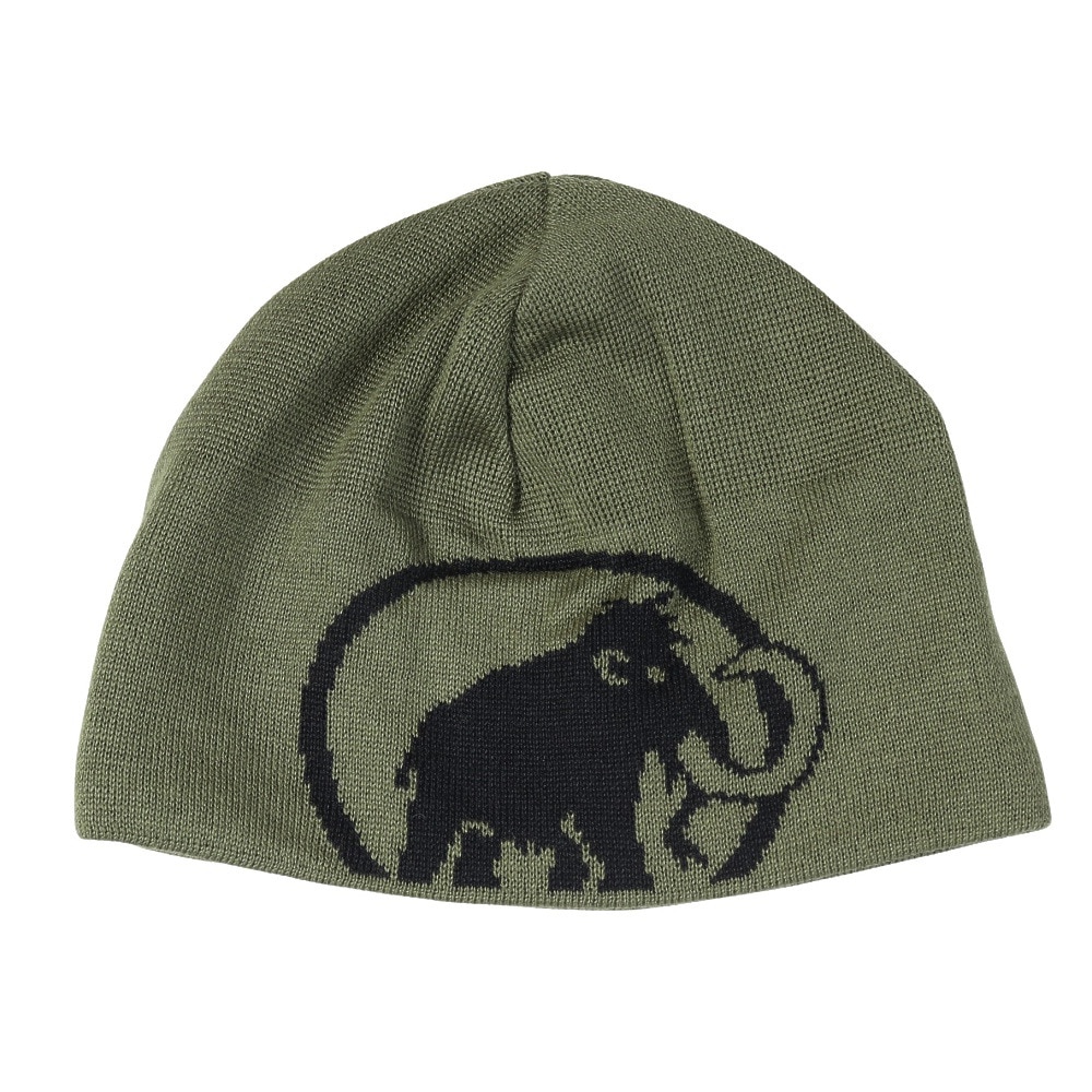 マムート（MAMMUT）（メンズ）帽子 トレッキング 登山 トゥイーク ビーニー 1191-01352-40294