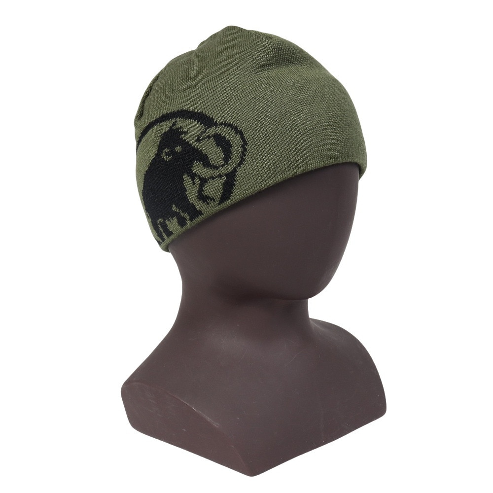 マムート（MAMMUT）（メンズ）帽子 トレッキング 登山 トゥイーク ビーニー 1191-01352-40294
