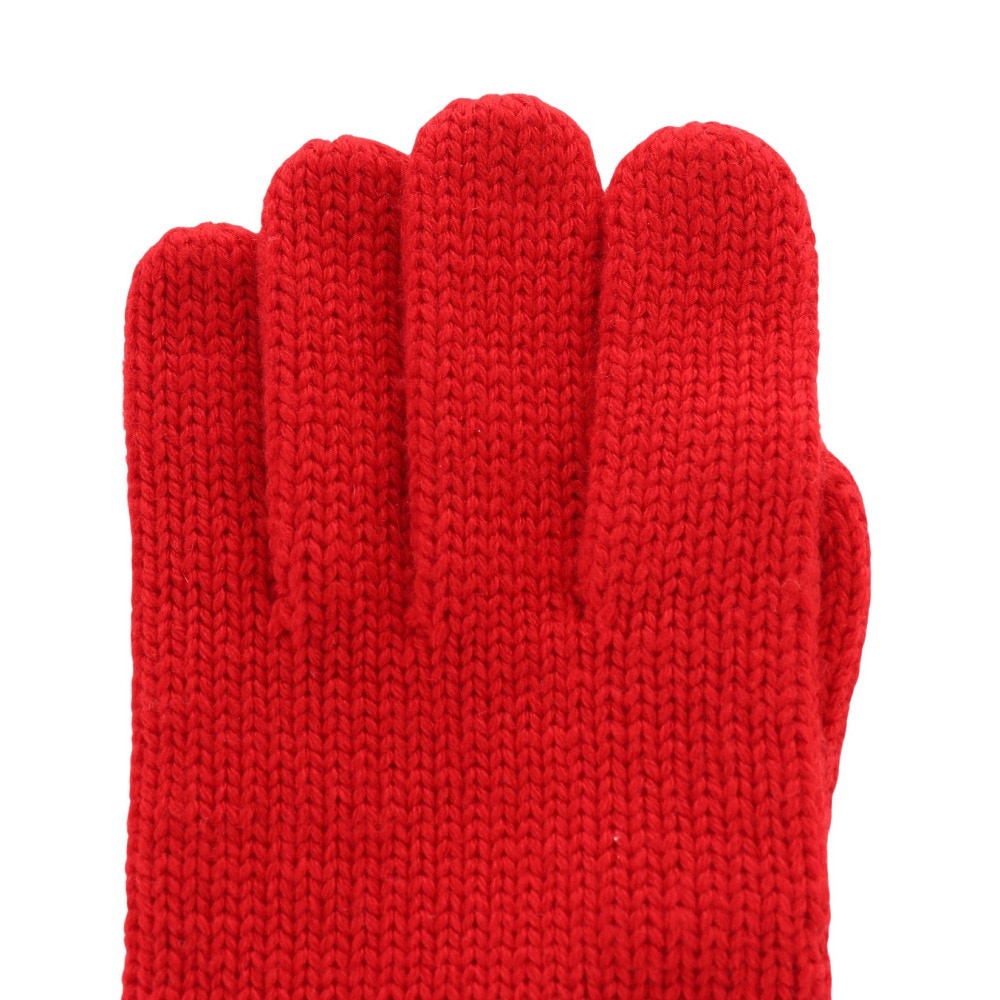エーグル（AIGLE）（メンズ、レディース）手袋 トレッキング ニットグローブ ウールグローブ ZRGAN83-00D