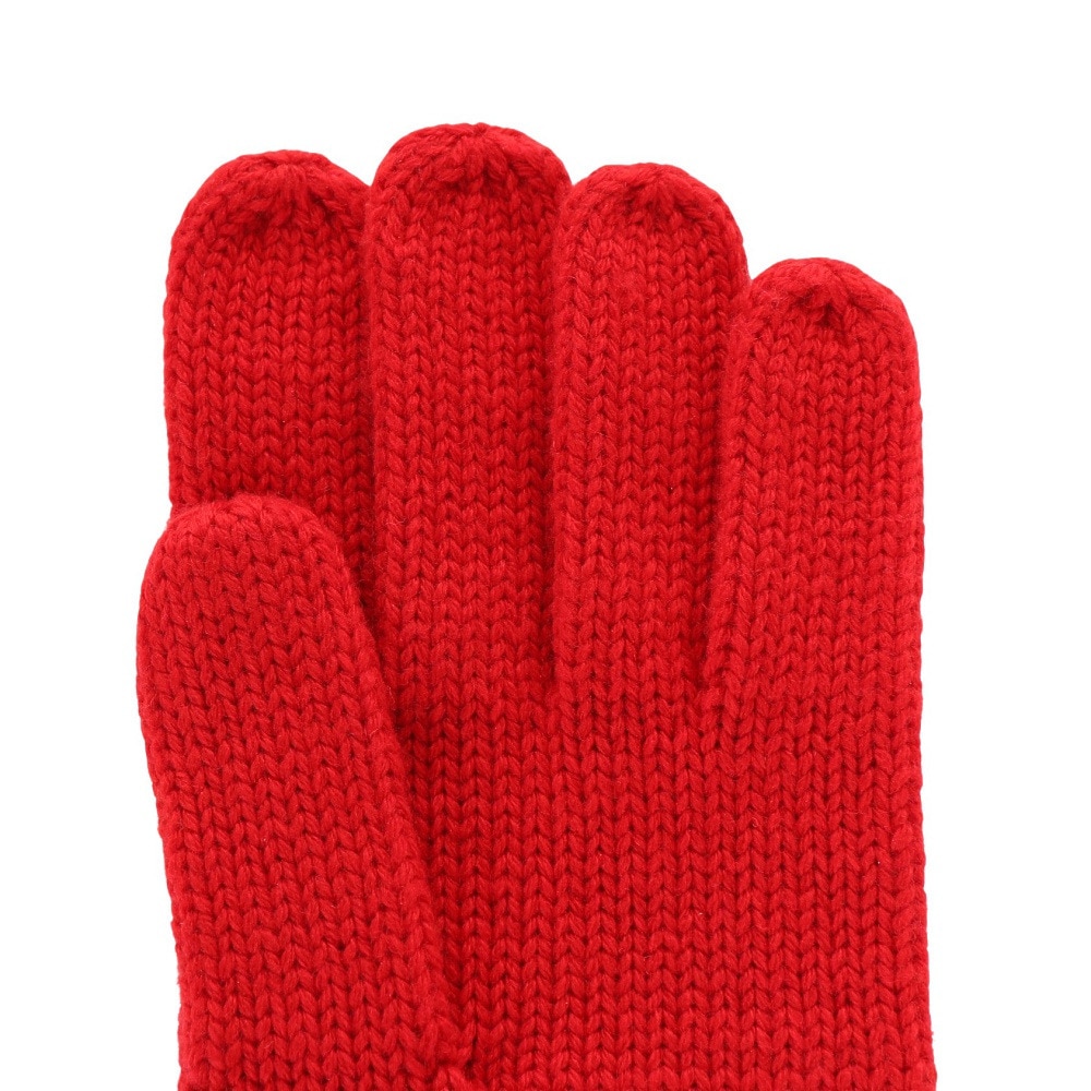 エーグル（AIGLE）（メンズ、レディース）手袋 トレッキング ニットグローブ ウールグローブ ZRGAN83-00D