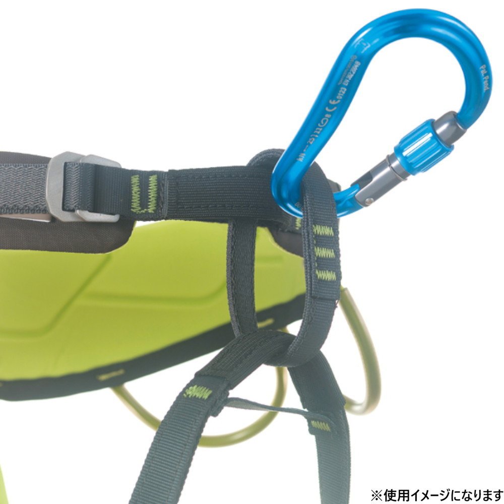 カンプ（CAMP）（メンズ、レディース）カラビナ 金具 アトムロック ガンメタル 5292103