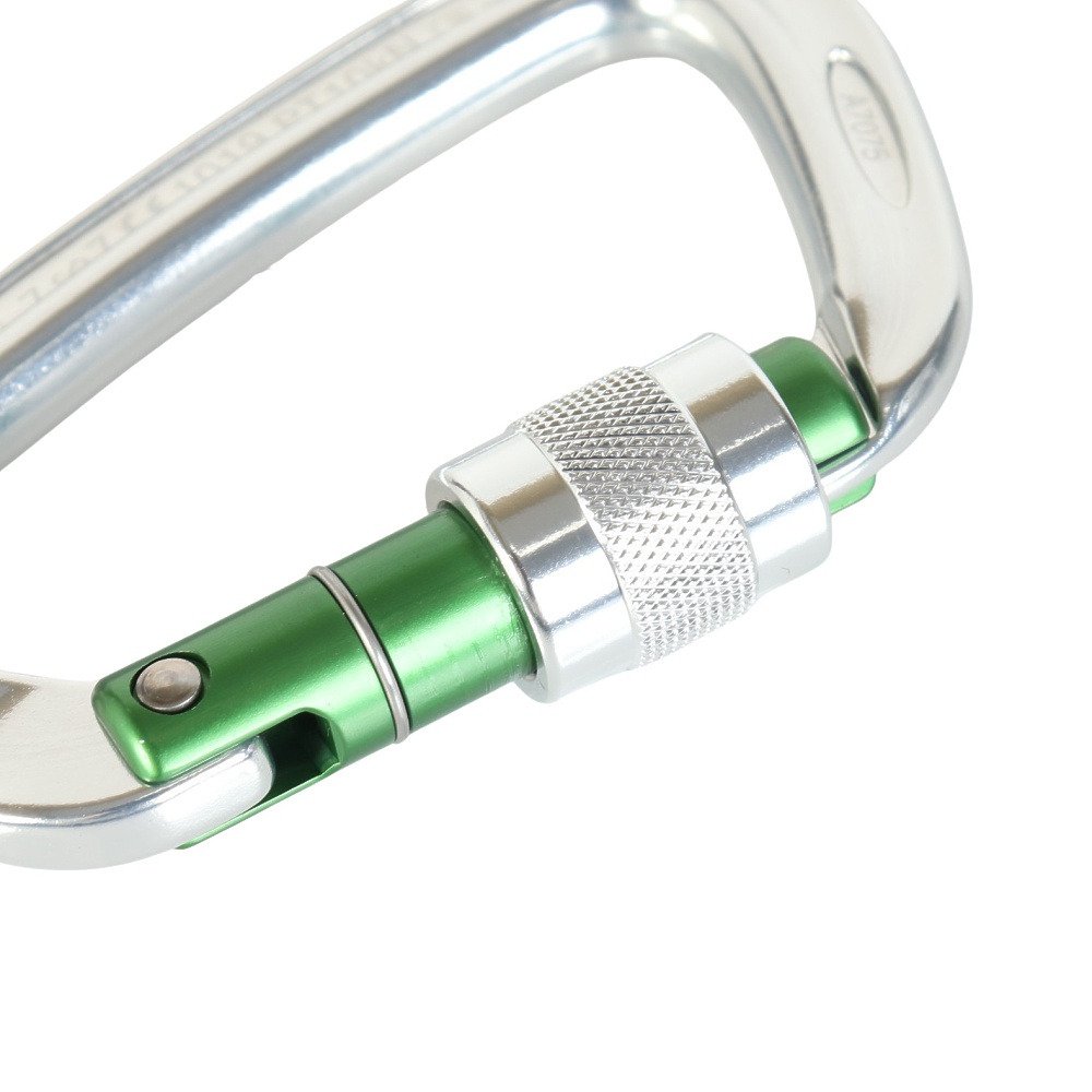 ロックテリクス（roc'teryx）（メンズ、レディース）カラビナ 金具 ライトスクリュー 24K RTAMG12094N2 Gre