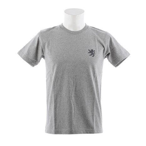 ヘビーウエイトTシャツ ビッグライオン 杢グレー kphs601の画像