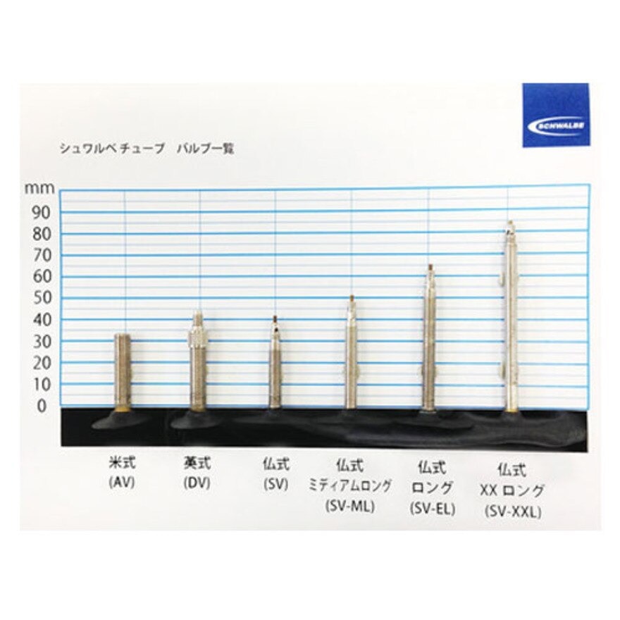 シュワルベ（SCHWALBE）（メンズ、レディース）チューブ 15SV.ML 仏式バルブ サイクルチューブタイヤ