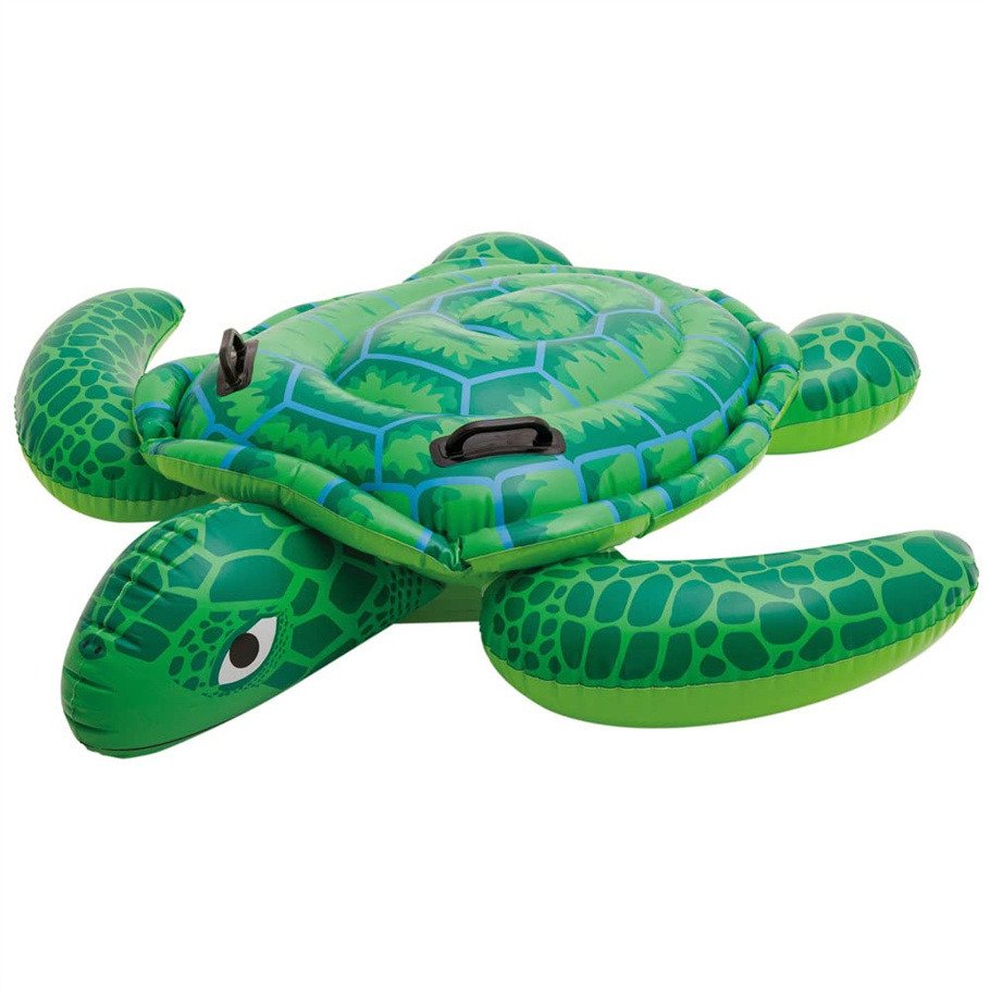 intex turtle