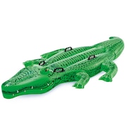 (メンズ、レディース、キッズ)GIANT GATOR 乗用インフレータブル プール フロート 58562