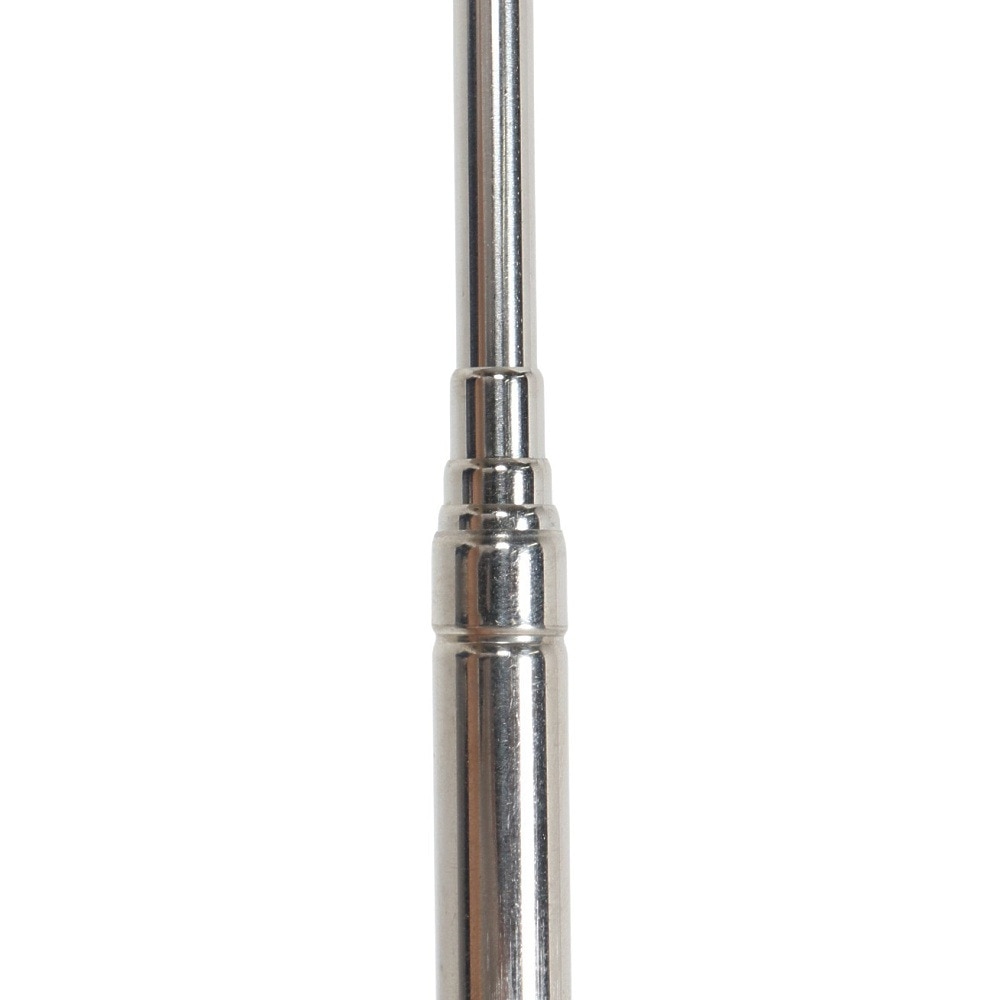 エーワン（A-one）（メンズ、レディース、キッズ）ファンキーズ2号 昆虫網 むしピンク