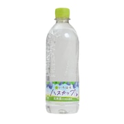 (メンズ、レディース、キッズ)飲料水 いろはす ハスカップ 540ml P540 水 ミネラルウォーター フレーバー 北海道 ペットボトル