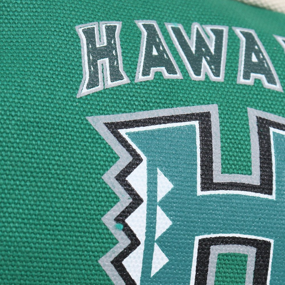 amina-university-of-hawaii-42vp2121-gr-h