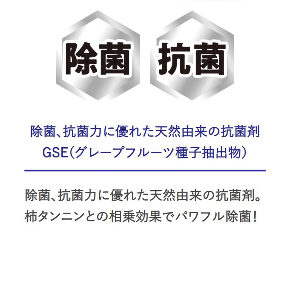 ナノケア（nano-care）（メンズ）除菌 抗菌 消臭 ナノケアスタイル for Business 100ml 消臭ミストスプレー シトラスの香り