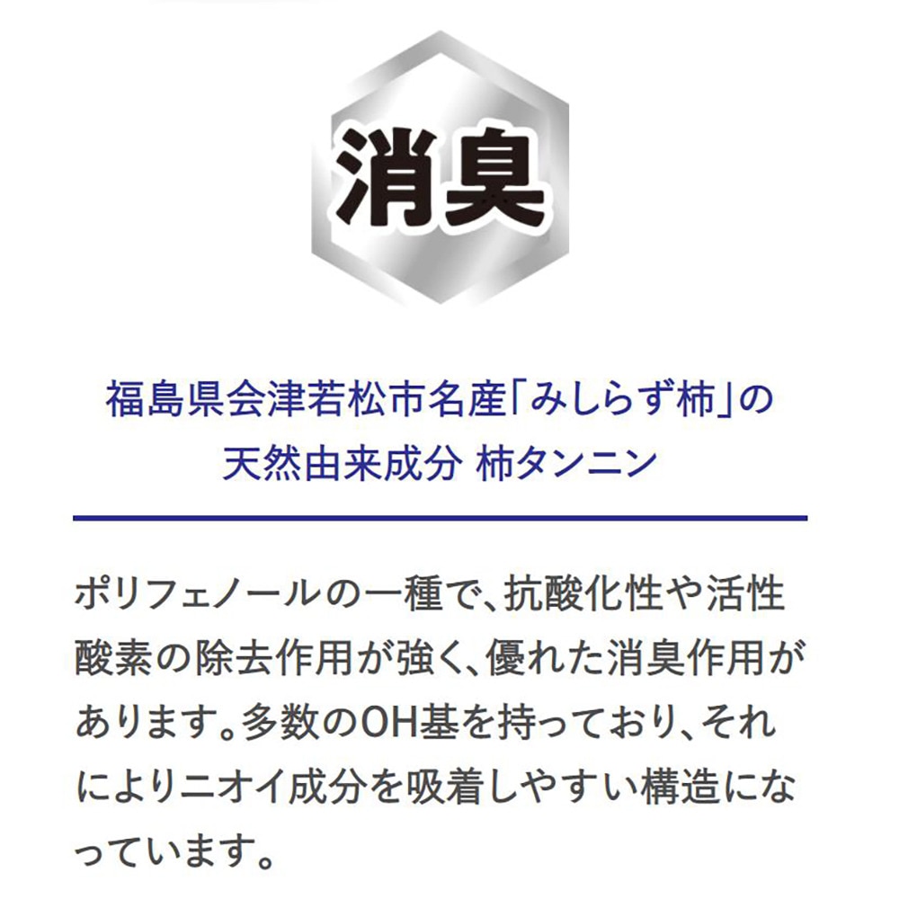 ナノケア（nano-care）（メンズ）除菌 抗菌 消臭 ナノケアスタイル for Business 100ml 消臭ミストスプレー シトラスの香り