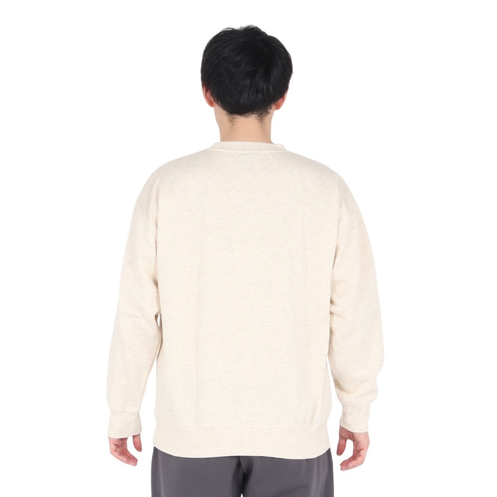 クイックシルバー（Quiksilver）（メンズ）スウェット プルオーバー QPO246902GRH