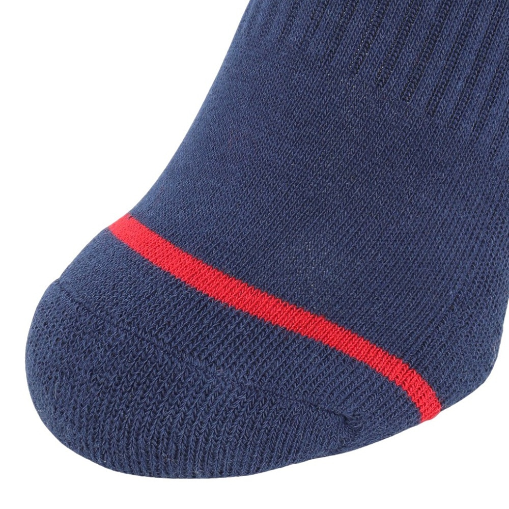 フィラ（FILA）（レディース）ソックス 794992 NV