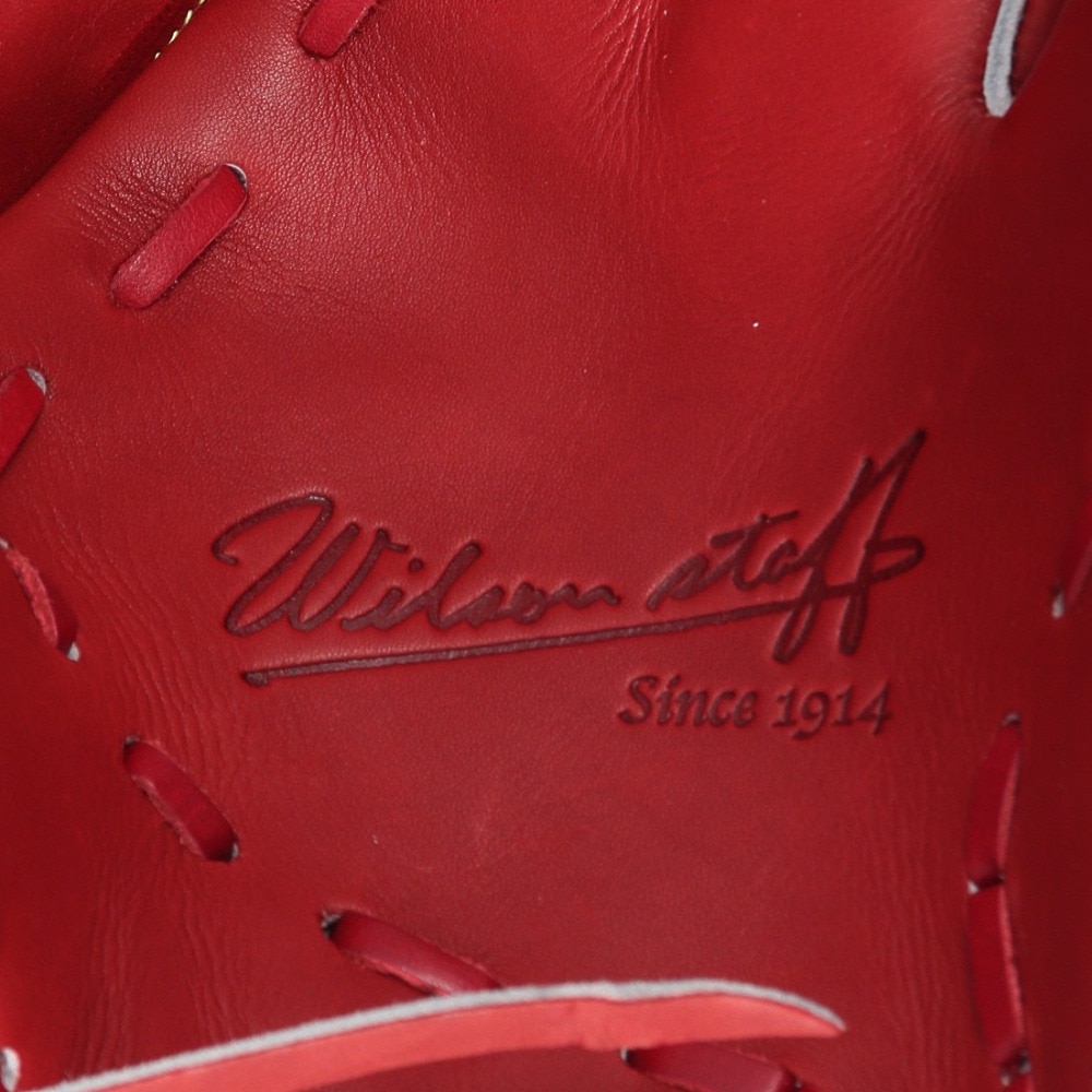 ウイルソン（Wilson）（メンズ）硬式用グラブ 投手用 野球グローブ 一般 WS DUAL B23型 WBW101699